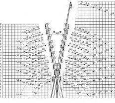 Гусёк жесткий РДК‑25 (5 метров) (Ревизия) схема